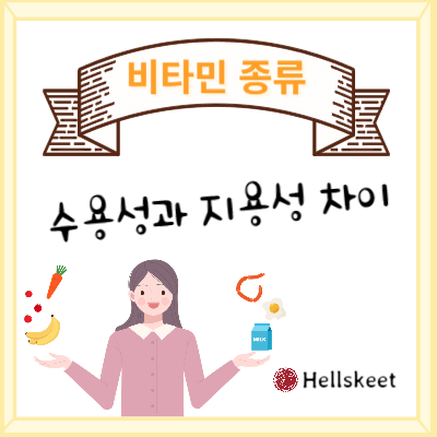 비타민 종류 수용성과 지용성 차이