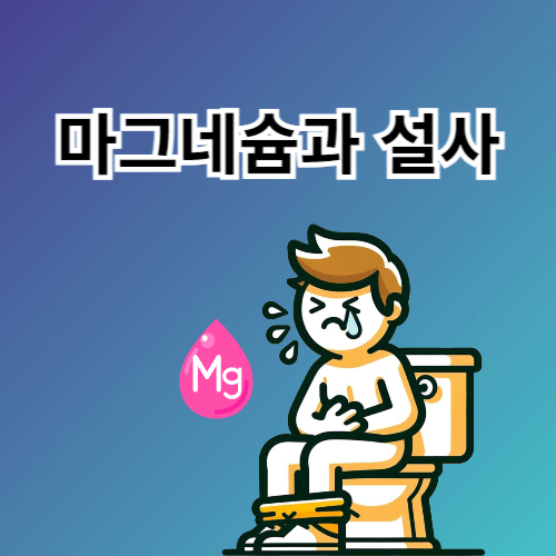 마그네슘과 설사