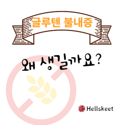 글루텐 불내증 왜 생길까요?