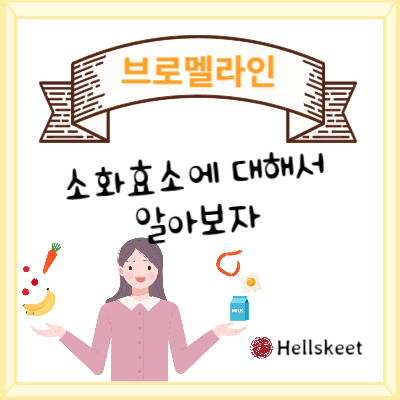 브로멜라인 소화효소에 대해서 알아보자