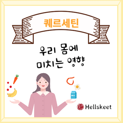 퀘르세틴 우리 몸에 미치는 영향