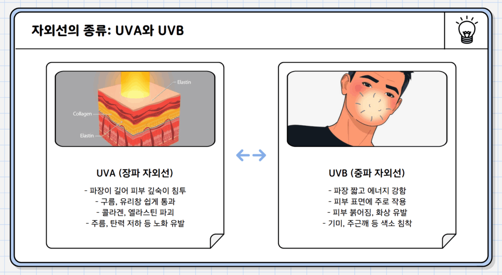 '저속노화'의 첫걸음, 자외선 차단제 추천 가이드