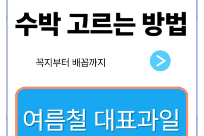 맛있는 수박 고르는 방법: 꼭지부터 배꼽까지, 실패 없는 비법 공개